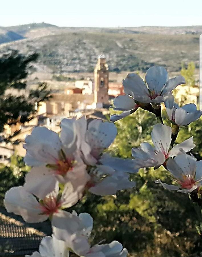 Alfafara Apartamento Rural Alfawara מראה חיצוני תמונה