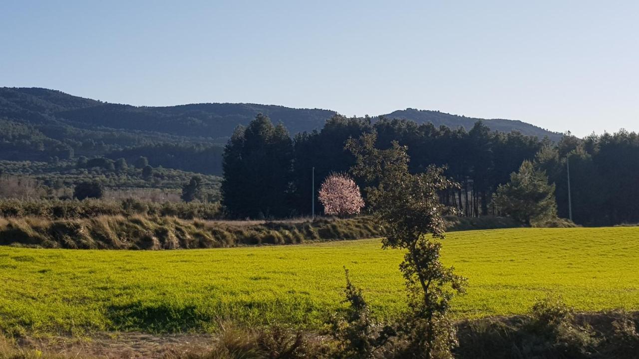 Alfafara Apartamento Rural Alfawara מראה חיצוני תמונה